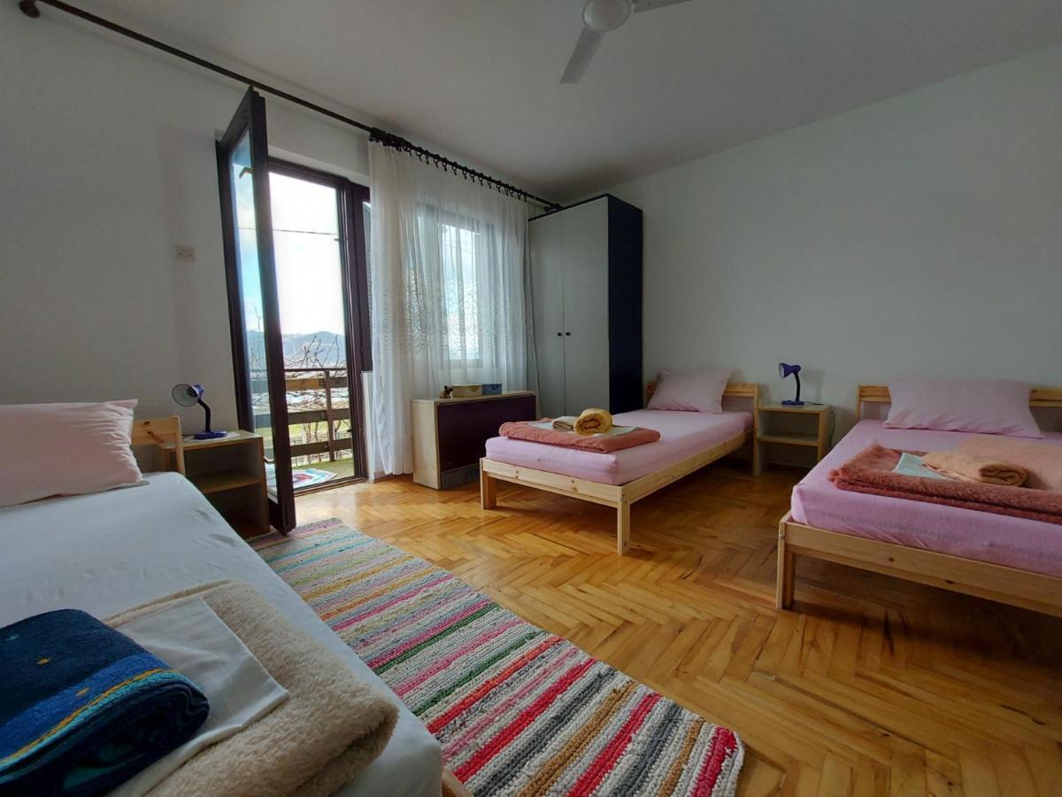 Apartman Velojic Donji Milanovac Bagian luar foto