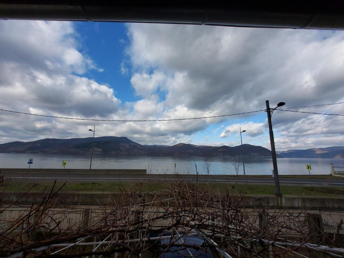 Apartman Velojic Donji Milanovac Bagian luar foto