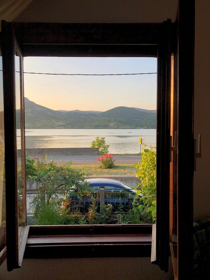 Apartman Velojic Donji Milanovac Bagian luar foto