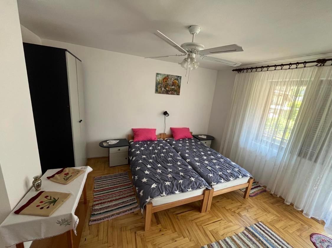 Apartman Velojic Donji Milanovac Bagian luar foto